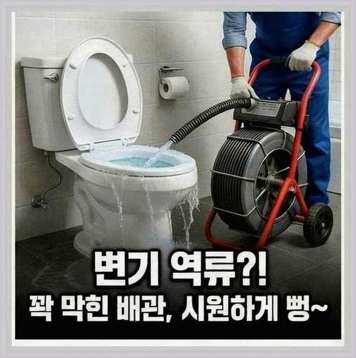 판교동성남역화장실역류원인